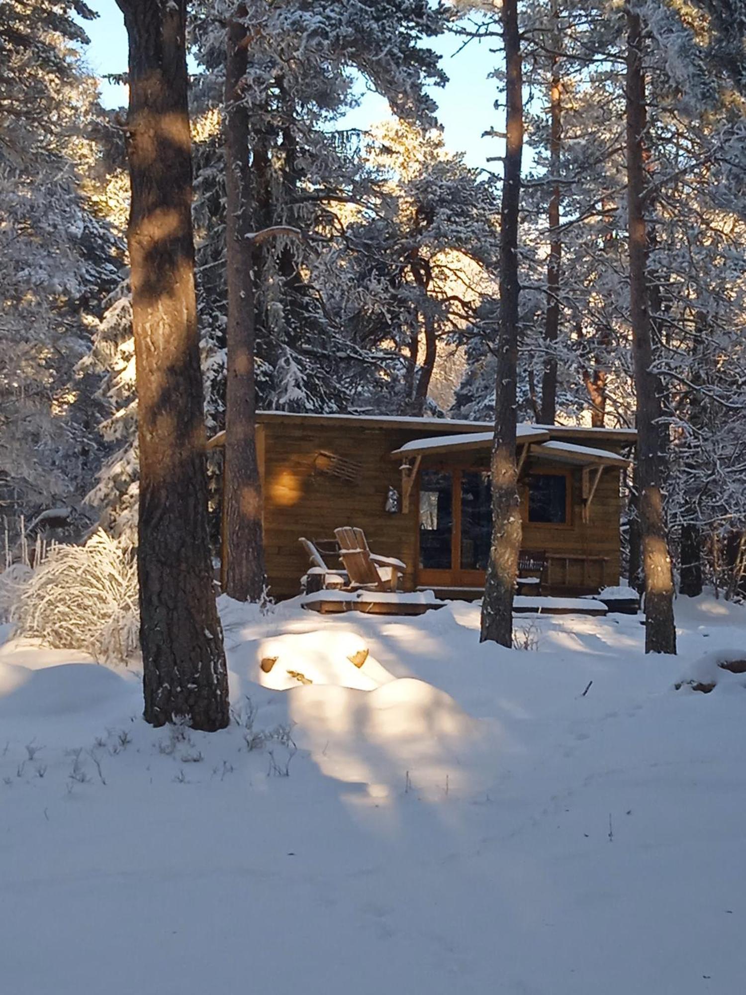 Chalet Hibou 1 Couchage En 140 Domaine De La Mamounette Champclause Экстерьер фото