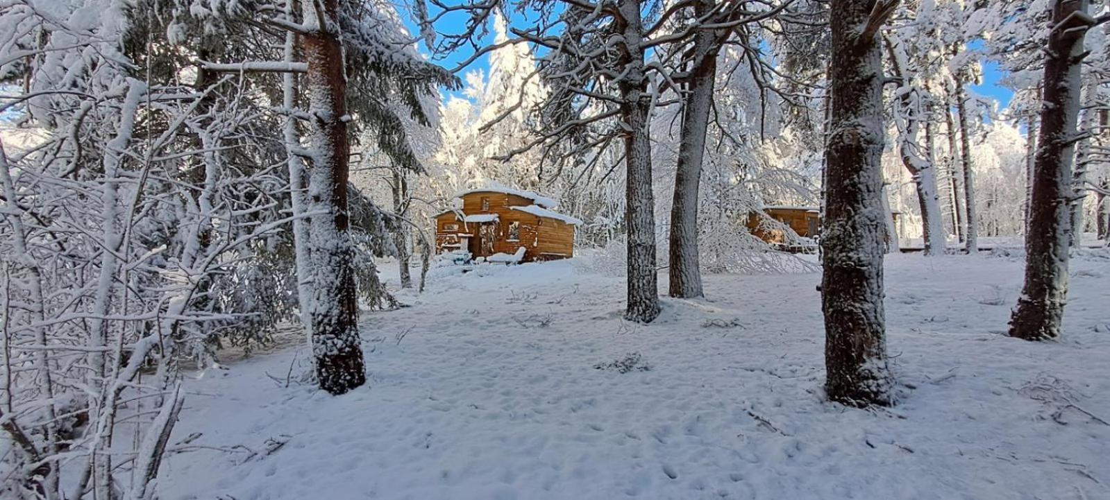 Chalet Hibou 1 Couchage En 140 Domaine De La Mamounette Champclause Экстерьер фото
